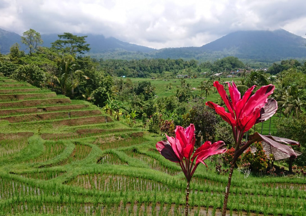 Bild von Kombination Bali und Singapur